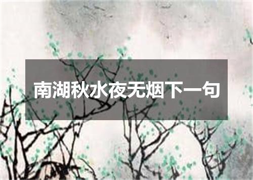 南湖秋水夜无烟下一句