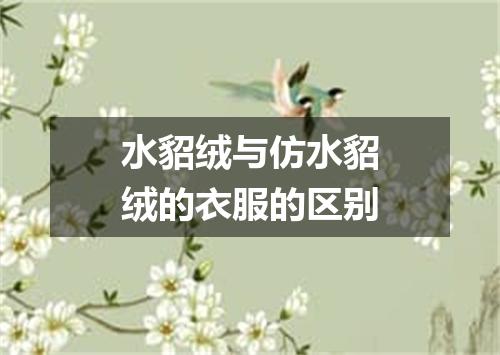 水貂绒与仿水貂绒的衣服的区别