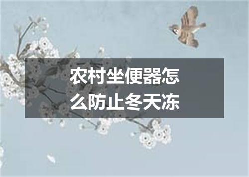 农村坐便器怎么防止冬天冻