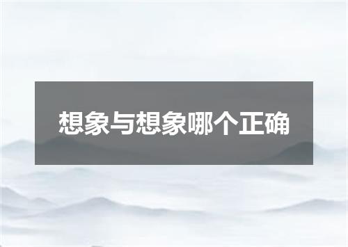 想象与想象哪个正确