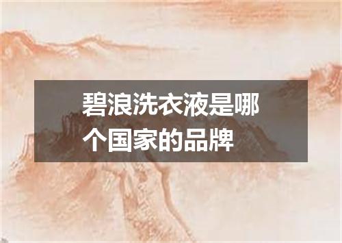 碧浪洗衣液是哪个国家的品牌