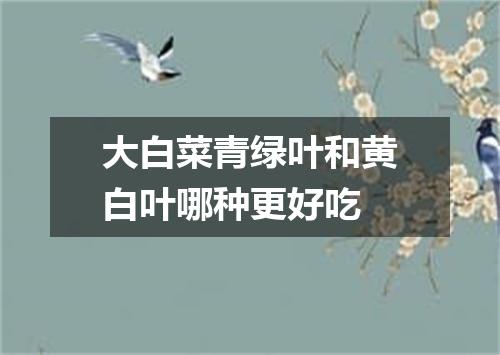 大白菜青绿叶和黄白叶哪种更好吃