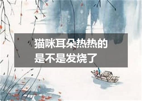 猫咪耳朵热热的是不是发烧了