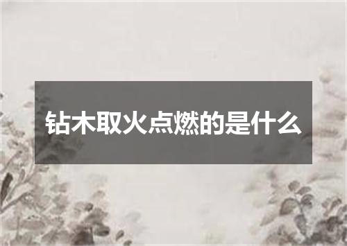 钻木取火点燃的是什么