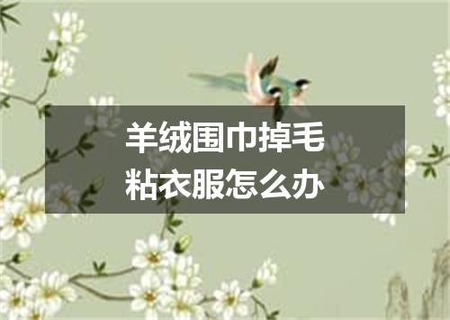 羊绒围巾掉毛粘衣服怎么办