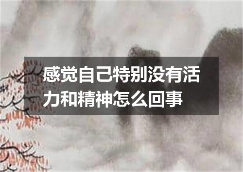 感觉自己特别没有活力和精神怎么回事