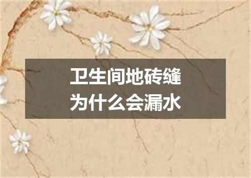 卫生间地砖缝为什么会漏水