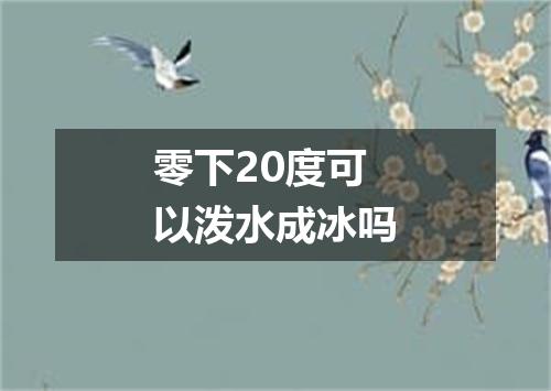 零下20度可以泼水成冰吗