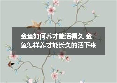 金鱼如何养才能活得久 金鱼怎样养才能长久的活下来