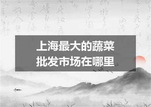 上海最大的蔬菜批发市场在哪里