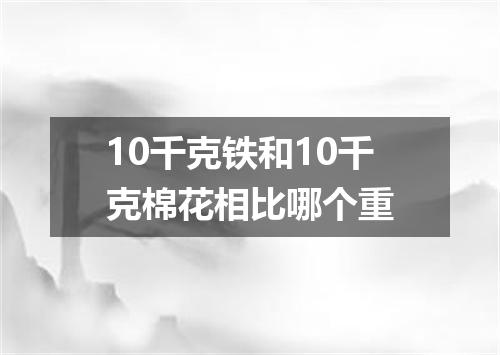 10千克铁和10千克棉花相比哪个重