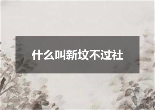 什么叫新坟不过社