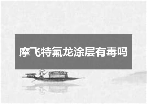 摩飞特氟龙涂层有毒吗