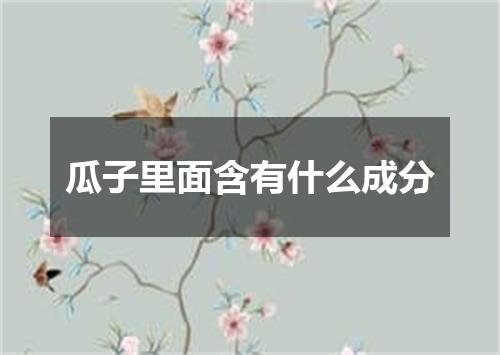 瓜子里面含有什么成分