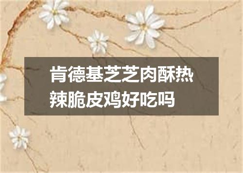 肯德基芝芝肉酥热辣脆皮鸡好吃吗