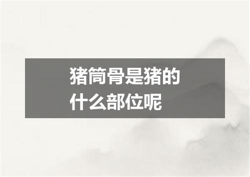 猪筒骨是猪的什么部位呢