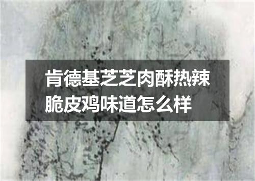 肯德基芝芝肉酥热辣脆皮鸡味道怎么样