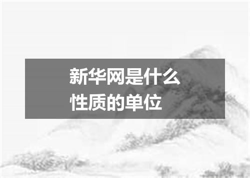 新华网是什么性质的单位