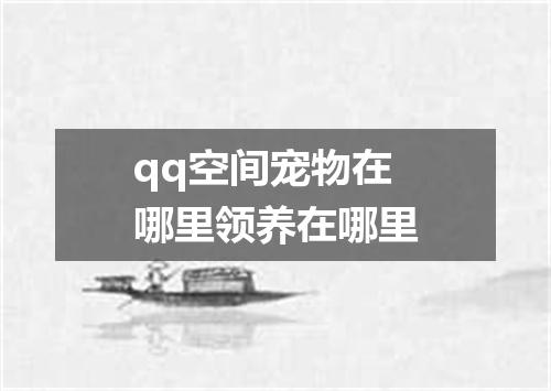 qq空间宠物在哪里领养在哪里