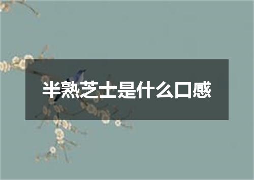 半熟芝士是什么口感