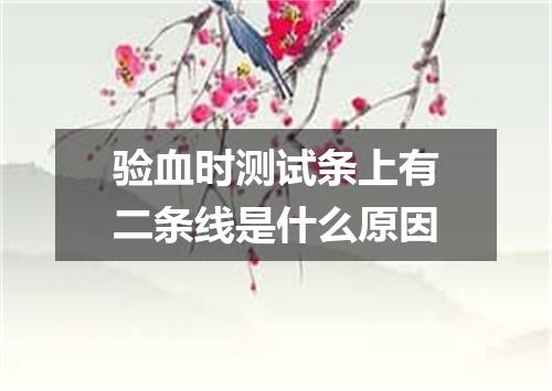 验血时测试条上有二条线是什么原因