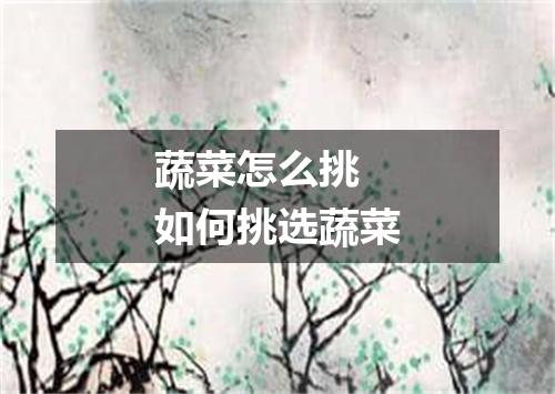 蔬菜怎么挑 如何挑选蔬菜