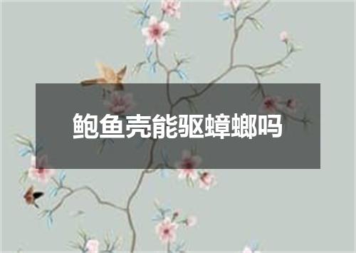 鲍鱼壳能驱蟑螂吗