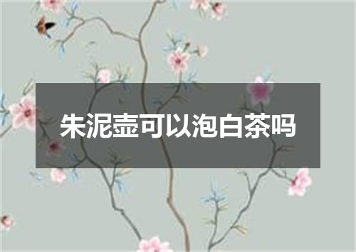 朱泥壶可以泡白茶吗
