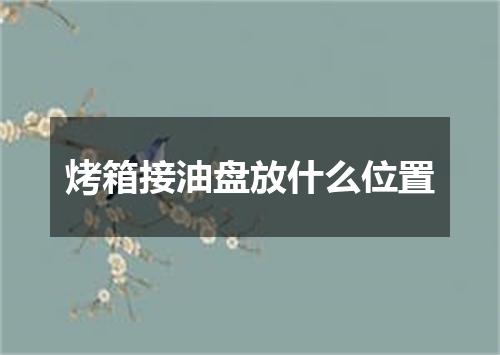 烤箱接油盘放什么位置
