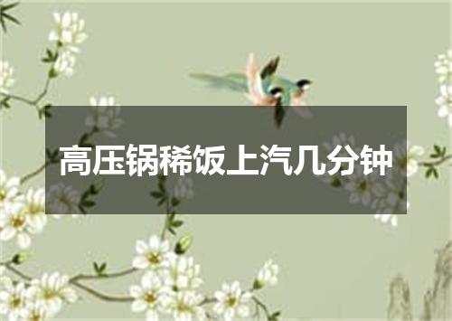 高压锅稀饭上汽几分钟