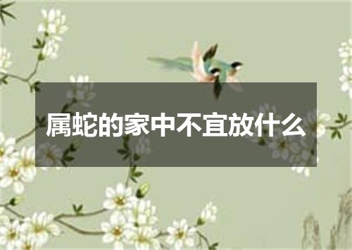 属蛇的家中不宜放什么