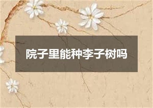 院子里能种李子树吗