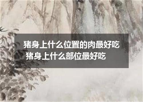 猪身上什么位置的肉最好吃 猪身上什么部位最好吃