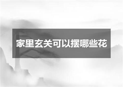 家里玄关可以摆哪些花