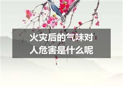 火灾后的气味对人危害是什么呢