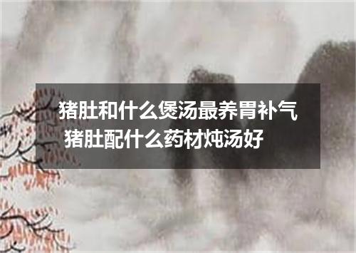 猪肚和什么煲汤最养胃补气 猪肚配什么药材炖汤好