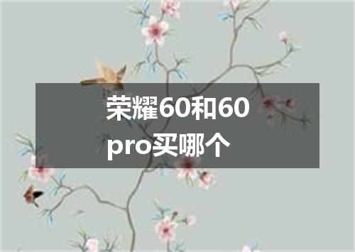 荣耀60和60pro买哪个