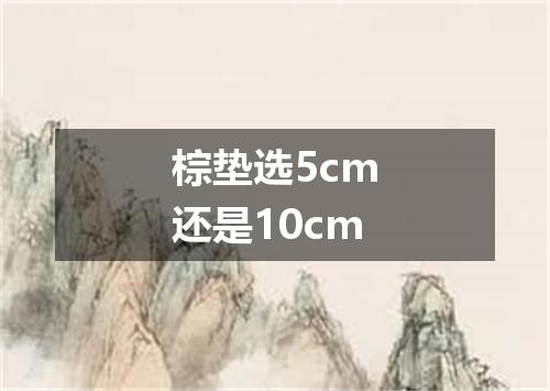 棕垫选5cm还是10cm