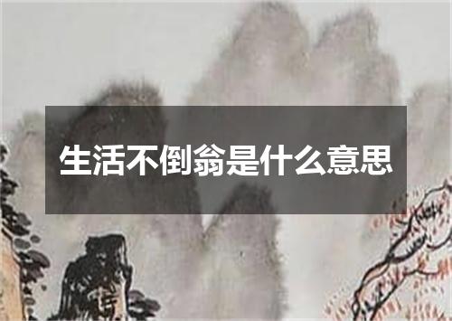 生活不倒翁是什么意思