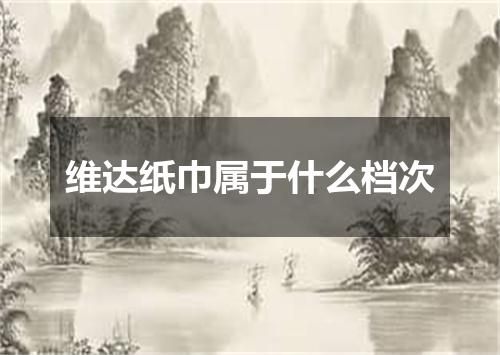 维达纸巾属于什么档次