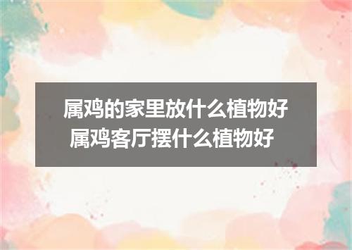 属鸡的家里放什么植物好 属鸡客厅摆什么植物好