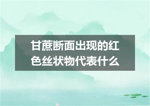 甘蔗断面出现的红色丝状物代表什么