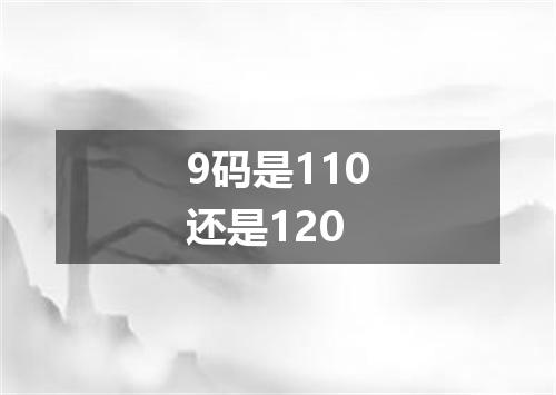 9码是110还是120