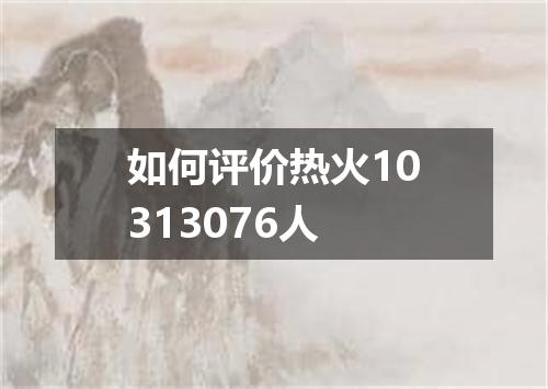 如何评价热火10313076人