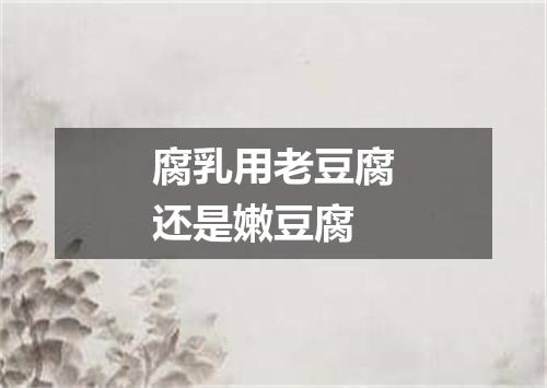 腐乳用老豆腐还是嫩豆腐