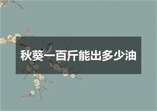 秋葵一百斤能出多少油