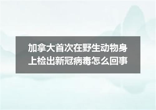 加拿大首次在野生动物身上检出新冠病毒怎么回事