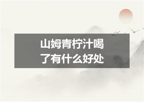 山姆青柠汁喝了有什么好处