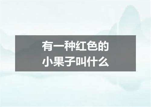 有一种红色的小果子叫什么