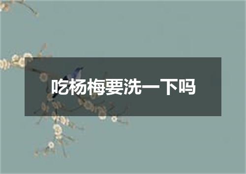 吃杨梅要洗一下吗